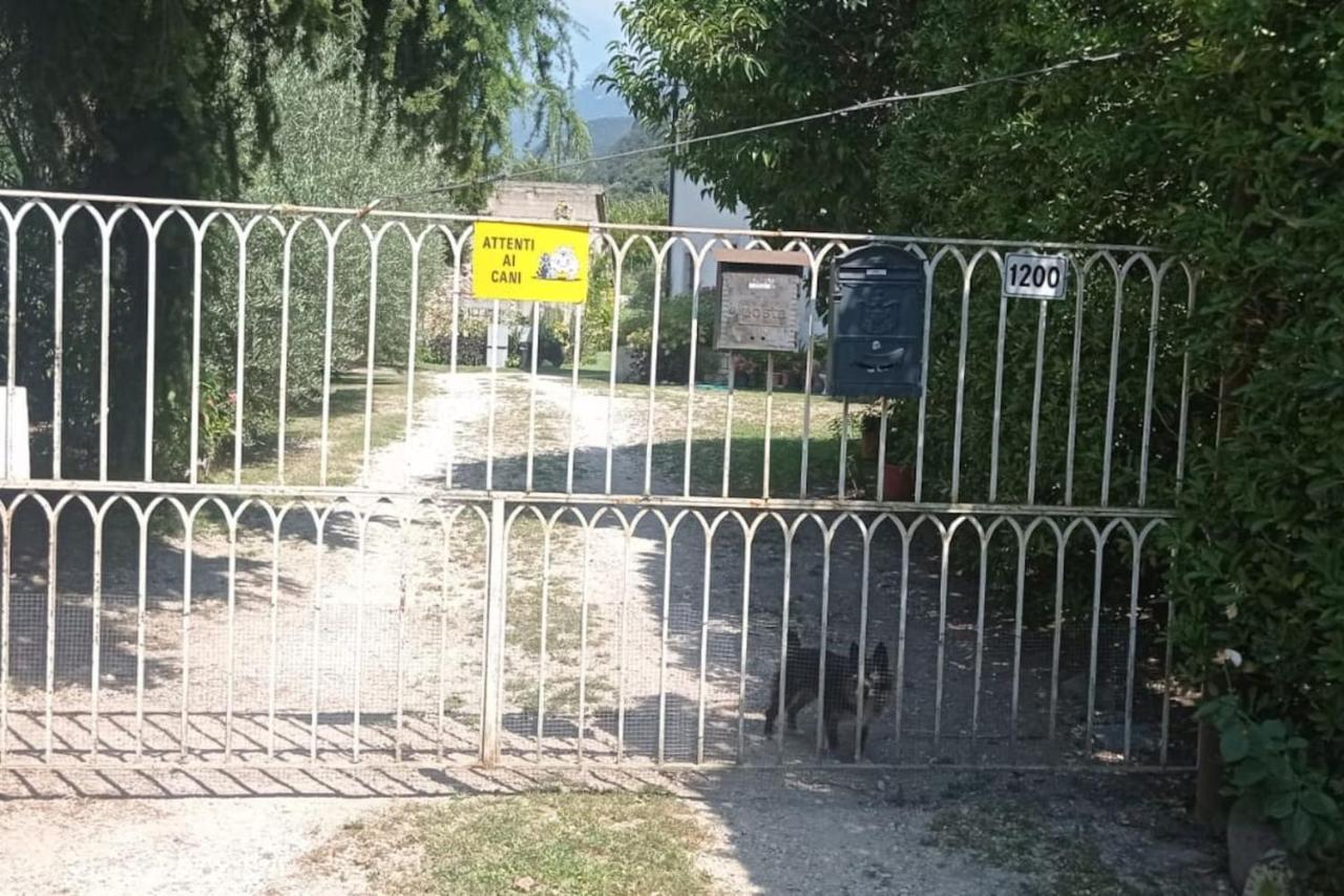 شقة Le3Sirene Brentino Belluno المظهر الخارجي الصورة